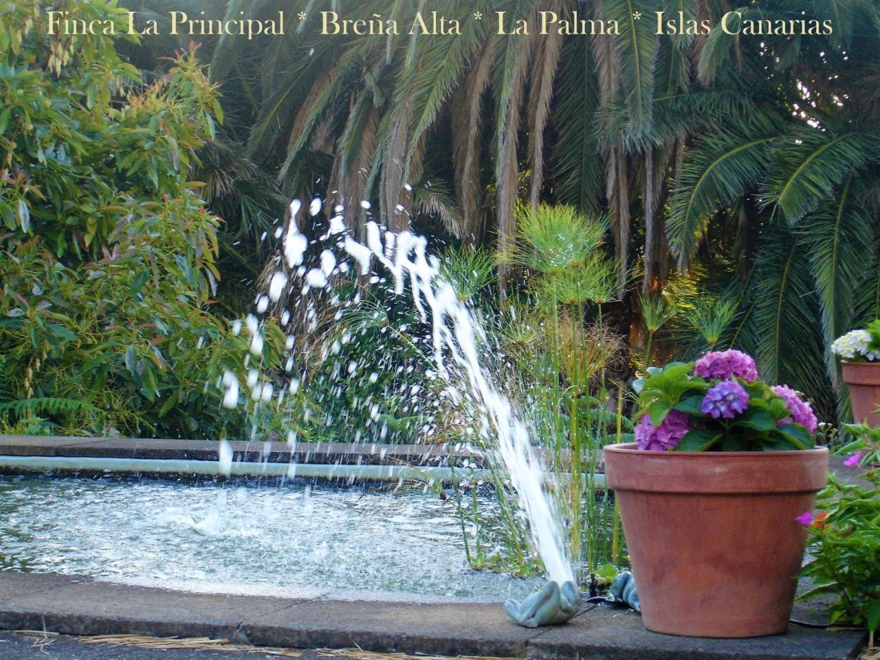 Finca La Principal Breña Alta Exterior foto